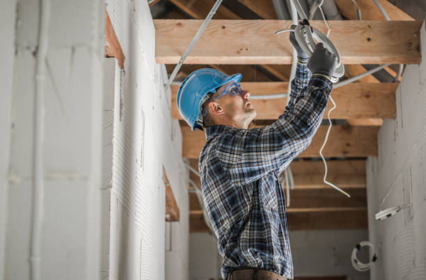 Best Electrician for Home Renovation  in Leon, IA